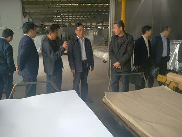 Tang Housheng, deputy magistrate of Yuan'an County People's Government, came to our company for investigation and guidance